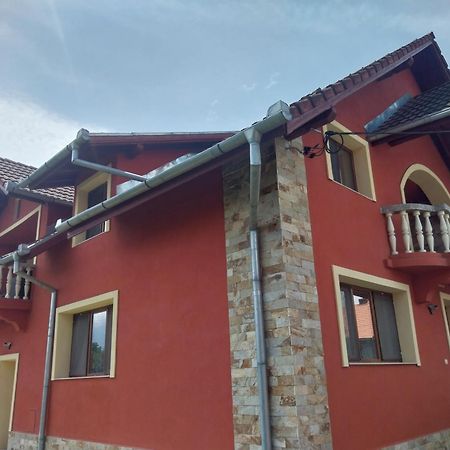 Serena House Cîrţişoara Dış mekan fotoğraf