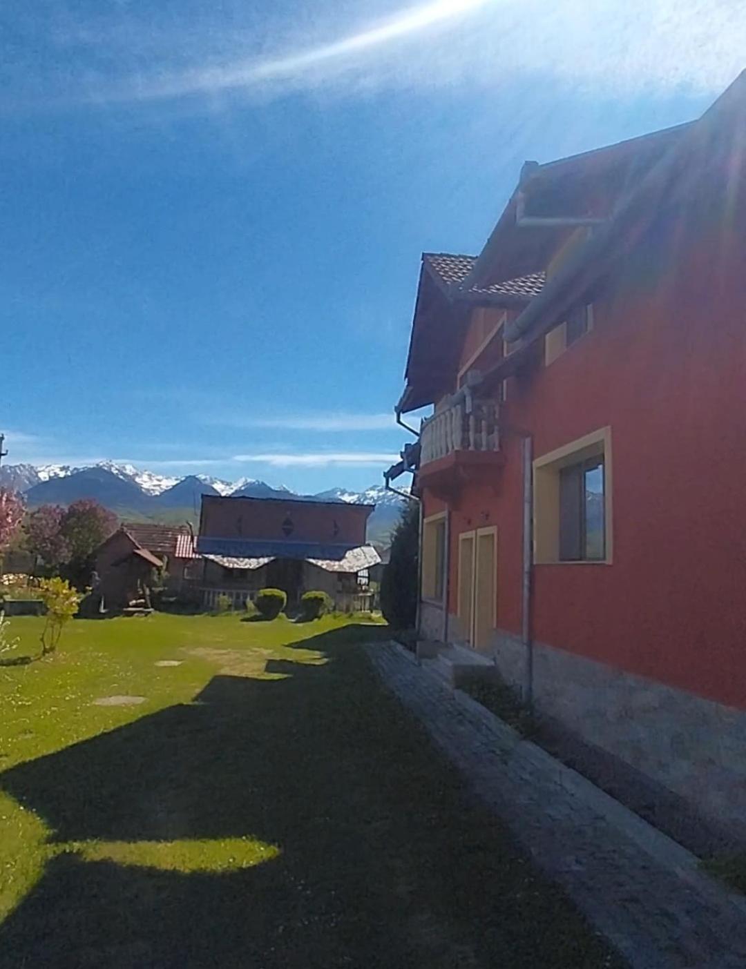 Serena House Cîrţişoara Dış mekan fotoğraf